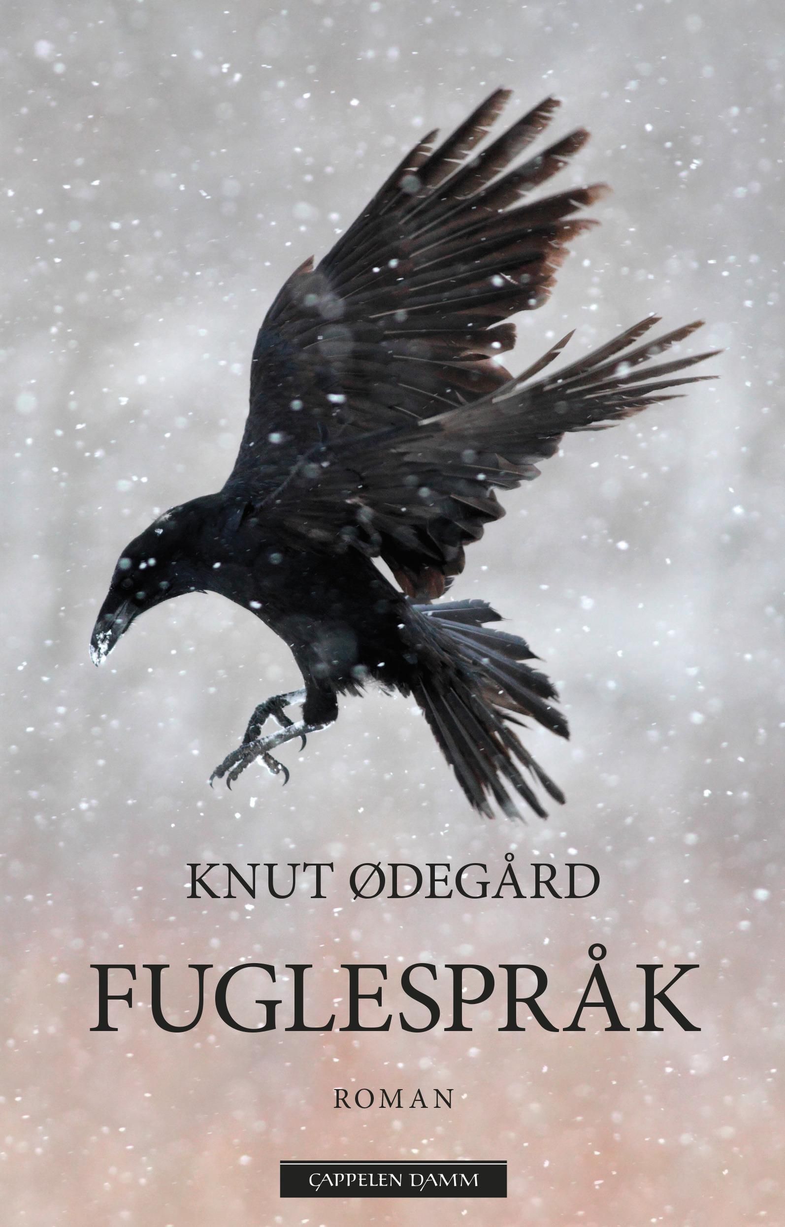 Fuglespråk - Claus Hoel Kringsjås historie