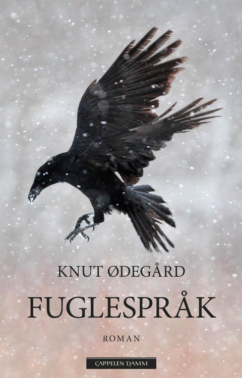 Fuglespråk - Claus Hoel Kringsjås historie