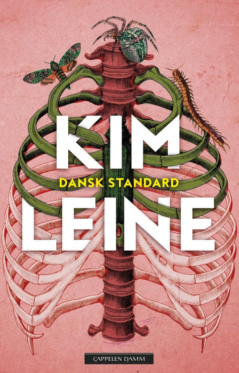 Dansk standard - roman