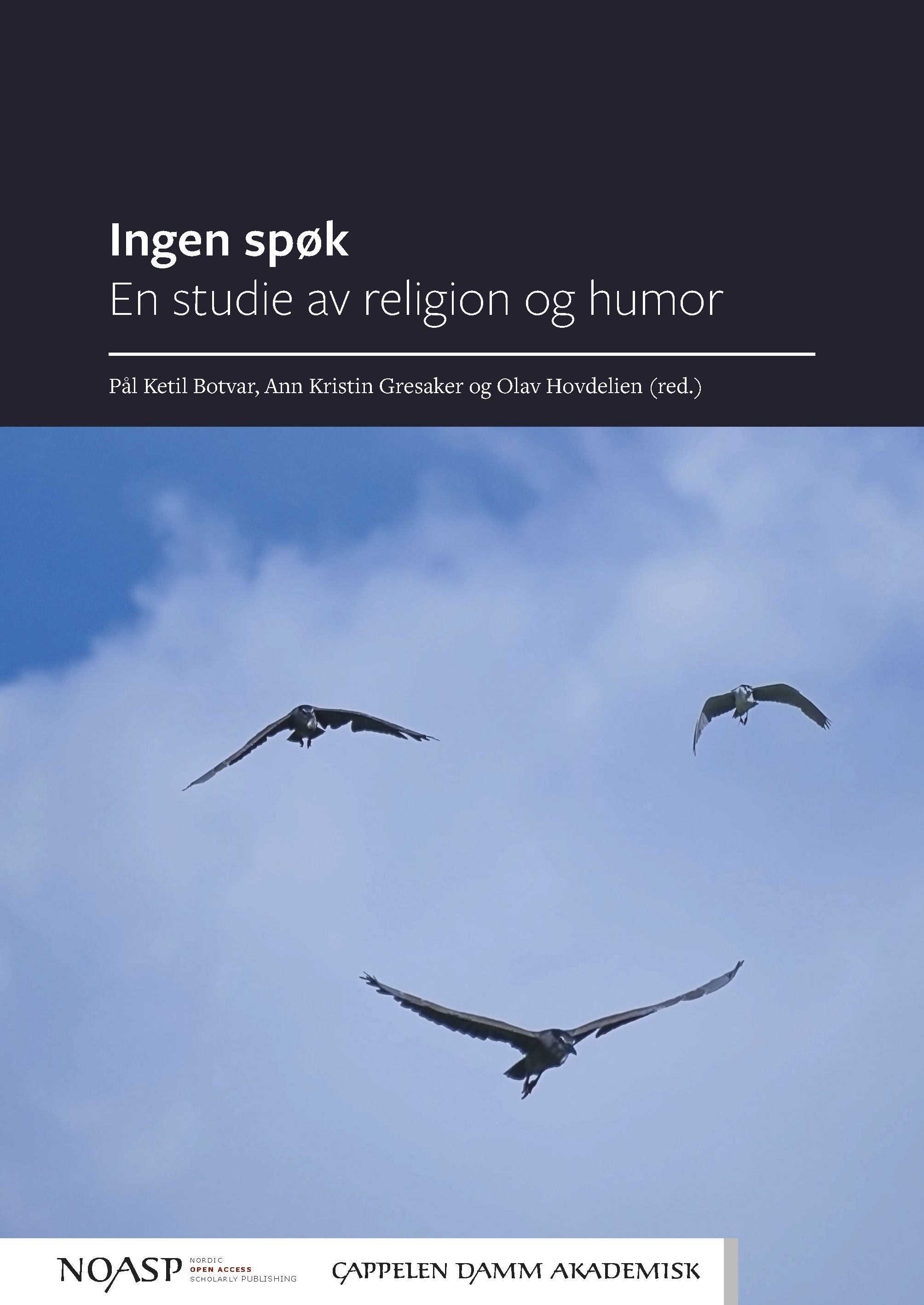 Ingen spøk - en studie av religion og humor