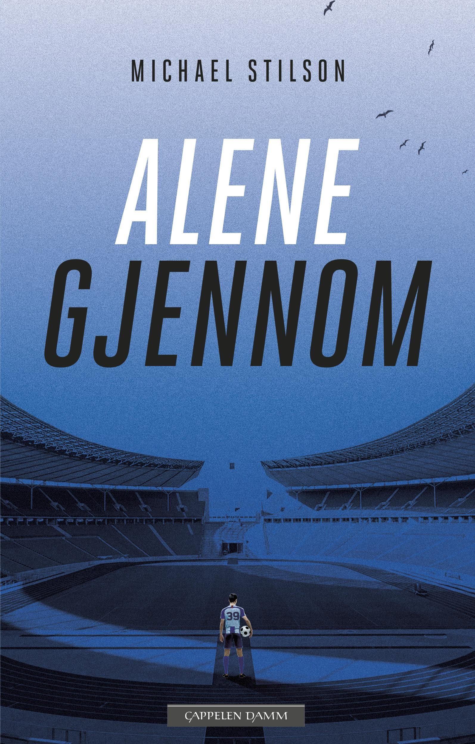 Alene gjennom