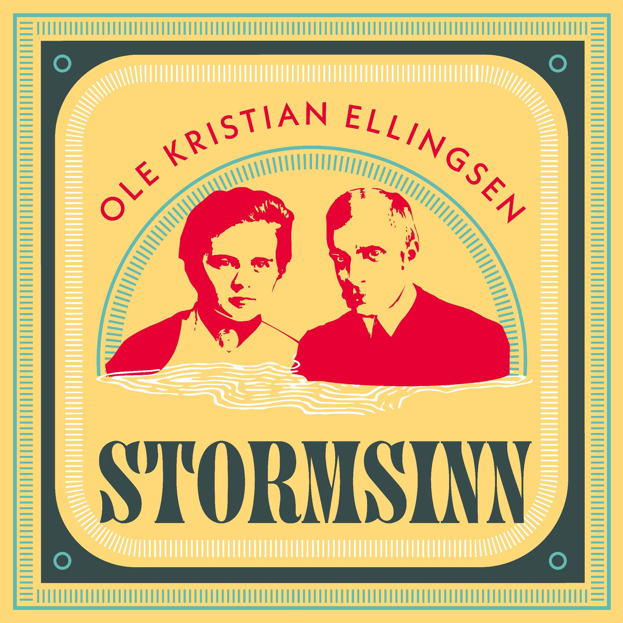 Stormsinn - roman