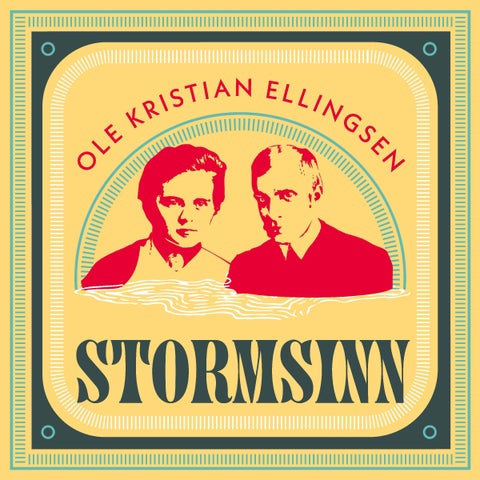 Stormsinn - roman