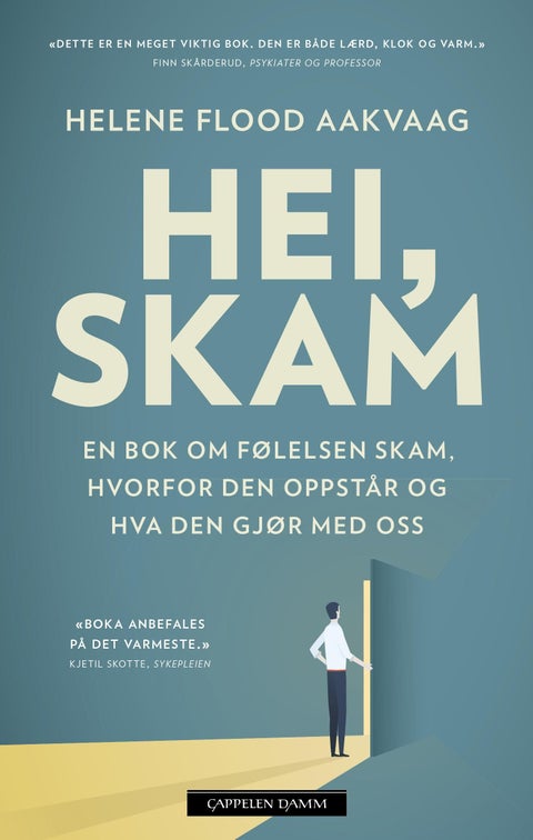 Hei, skam - en bok om følelsen skam, hvorfor den oppstår og hva den gjør med oss