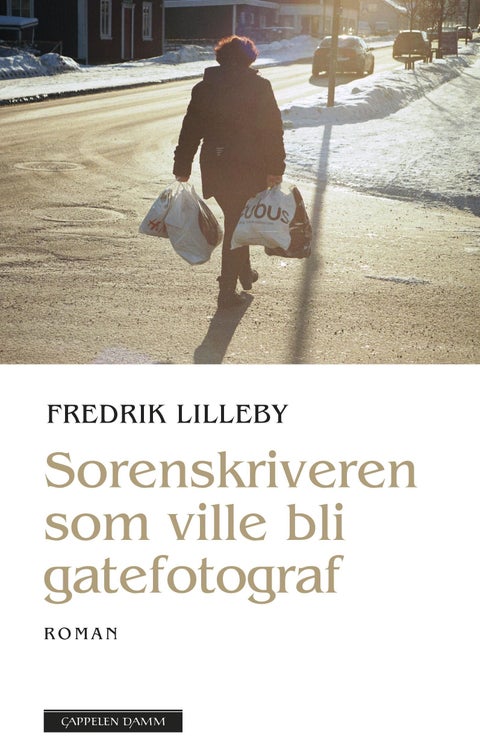 Sorenskriveren som ville bli gatefotograf - roman