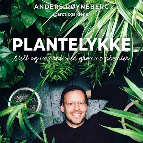 Plantelykke - stell og innred med grønne planter