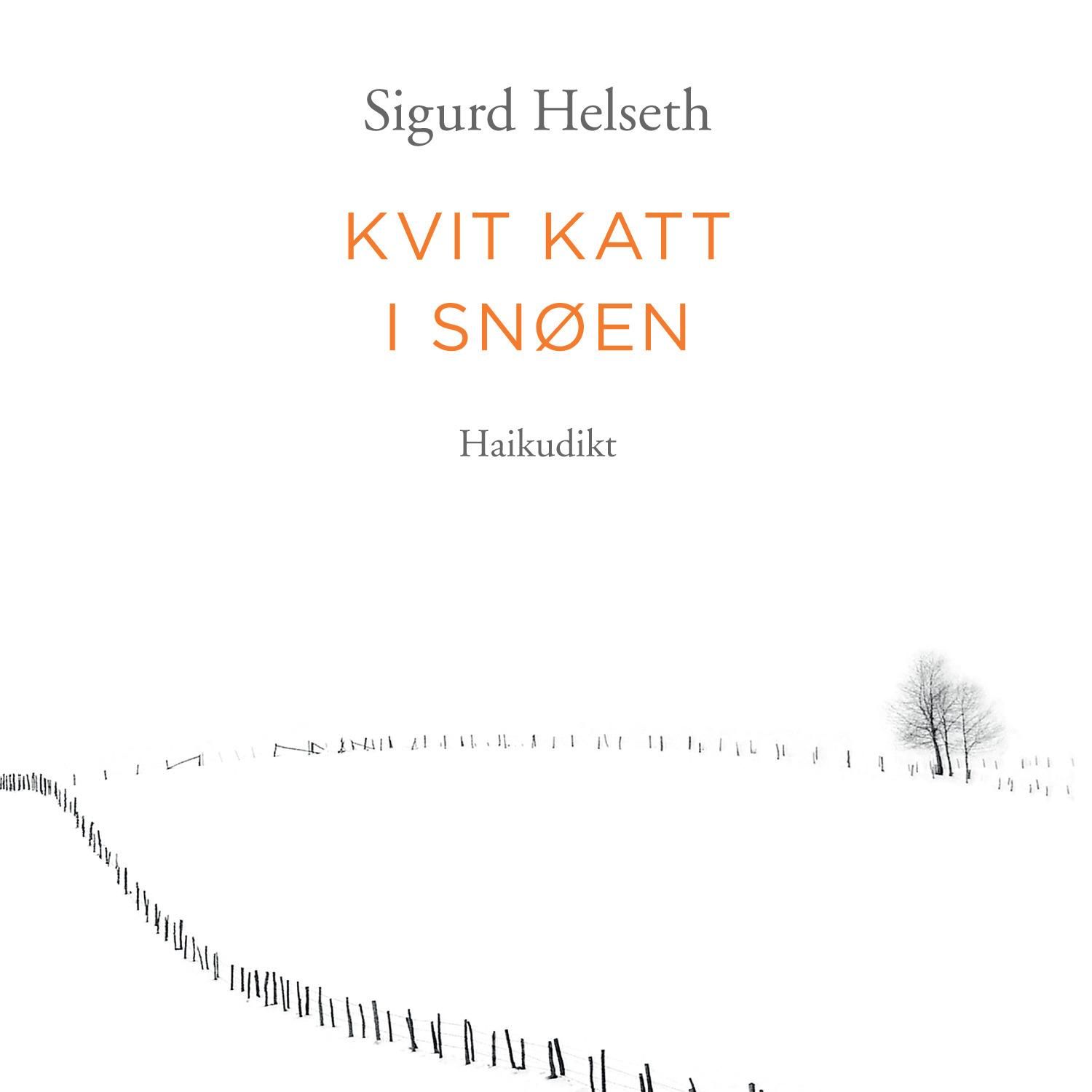 Kvit katt i snøen - haikudikt