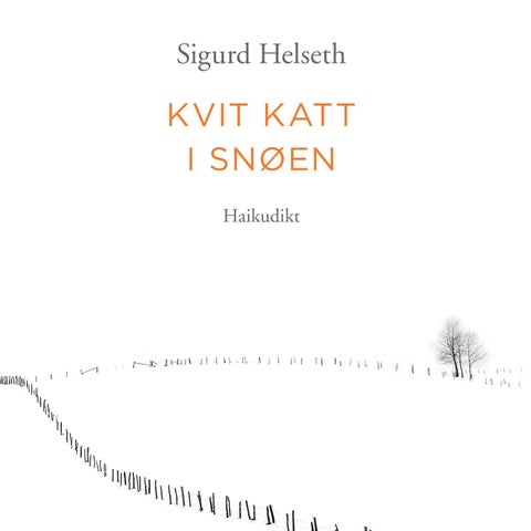 Kvit katt i snøen - haikudikt
