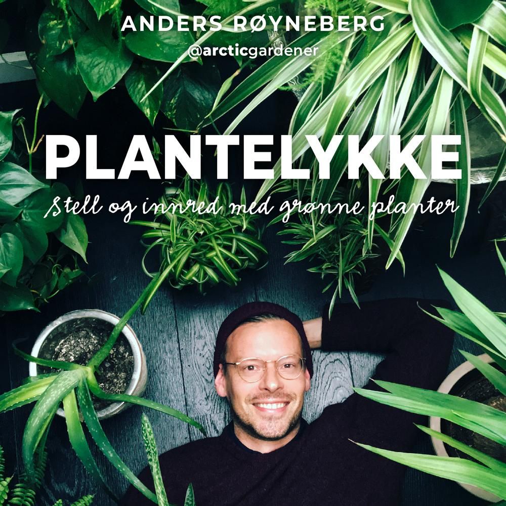 Plantelykke - stell og innred med grønne planter