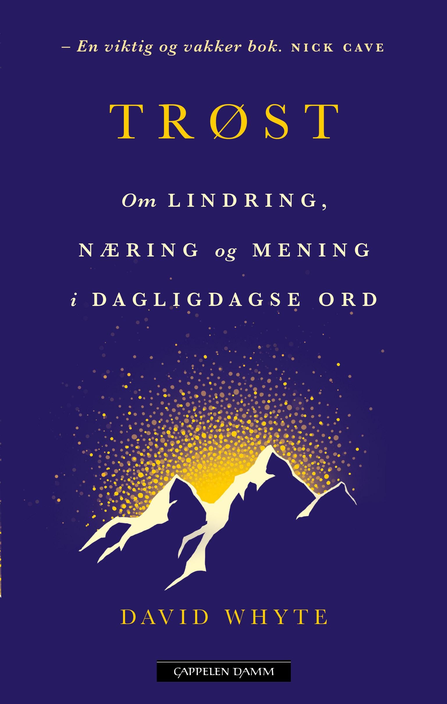 Trøst - om lindring, næring og mening i dagligdagse ord