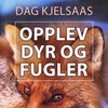 Opplev dyr og fugler