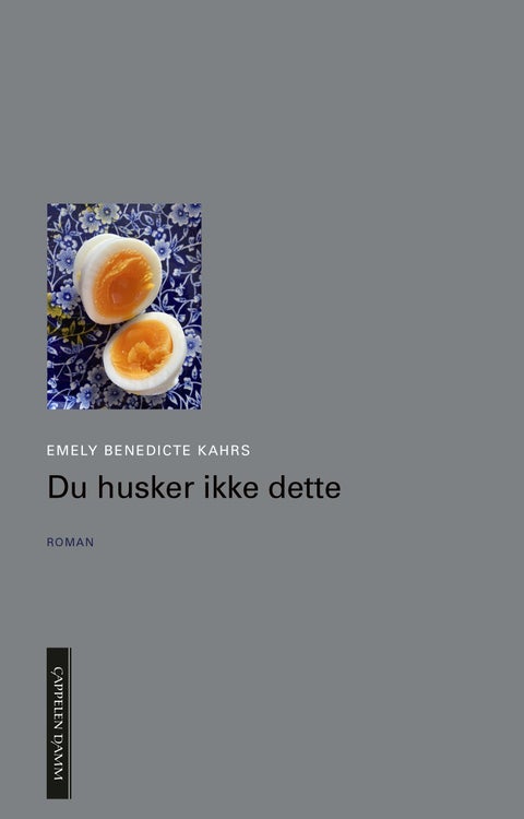 Du husker ikke dette - roman