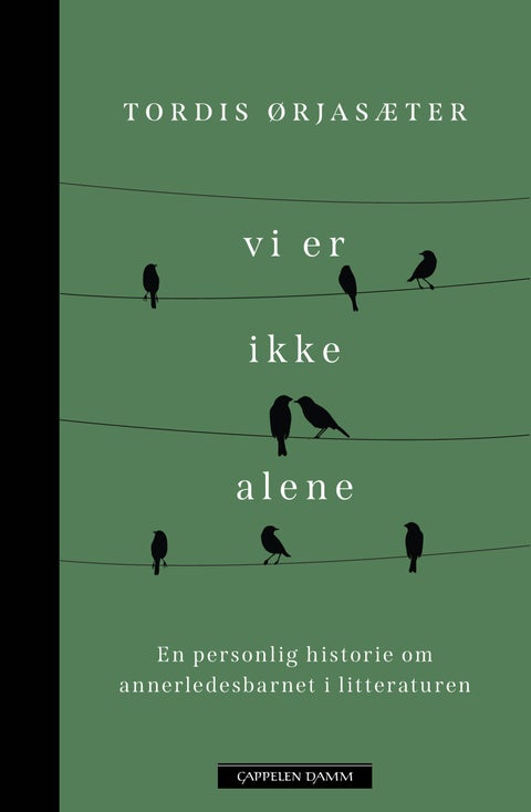 Vi er ikke alene - en personlig historie om annerledesbarnet i litteraturen