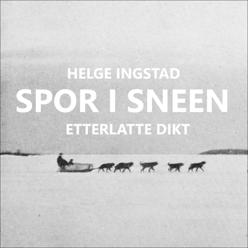 Spor i sneen - etterlatte dikt