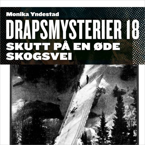 Skutt på en øde skogsvei - Hadelandsdrapene