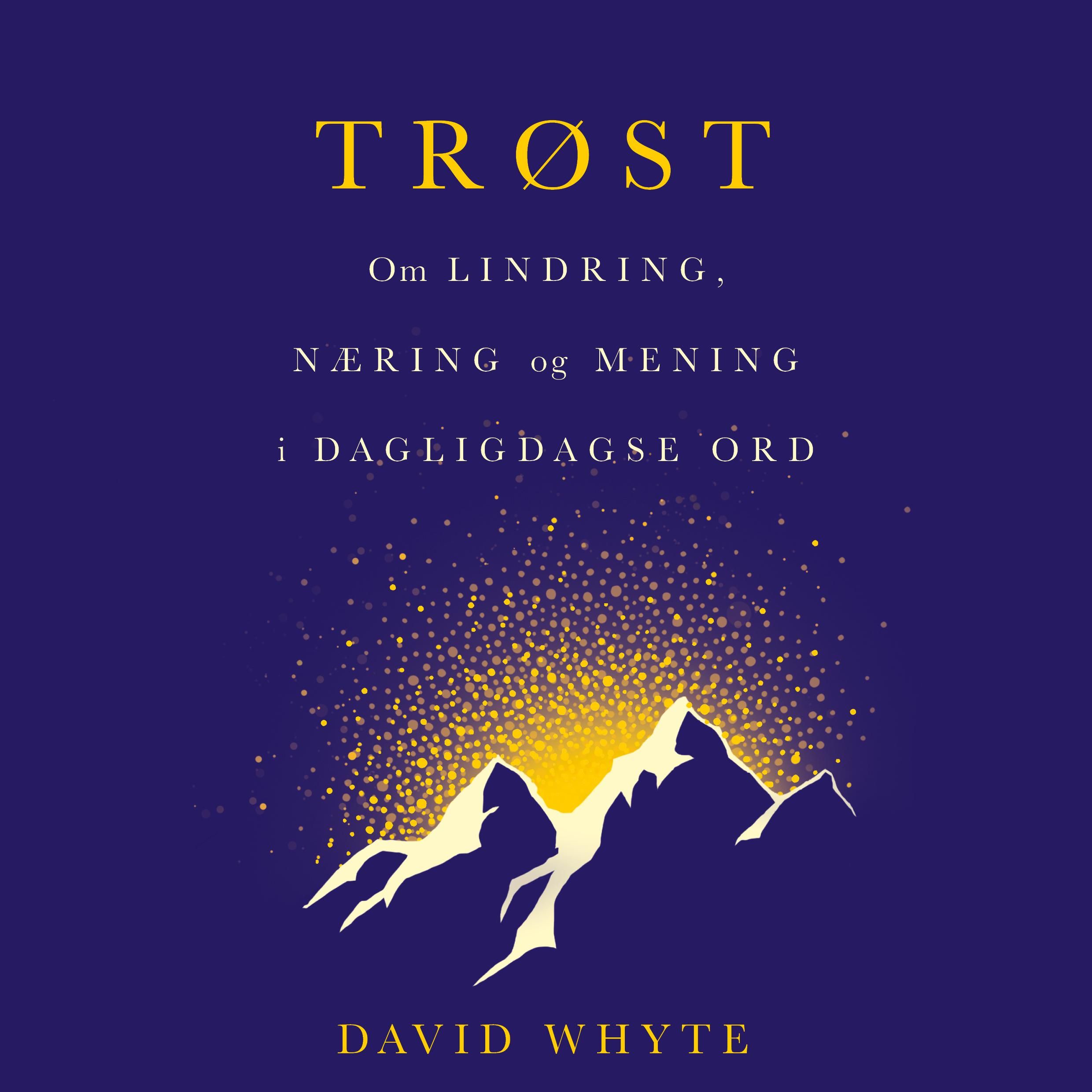 Trøst - om lindring, næring og mening i dagligdagse ord