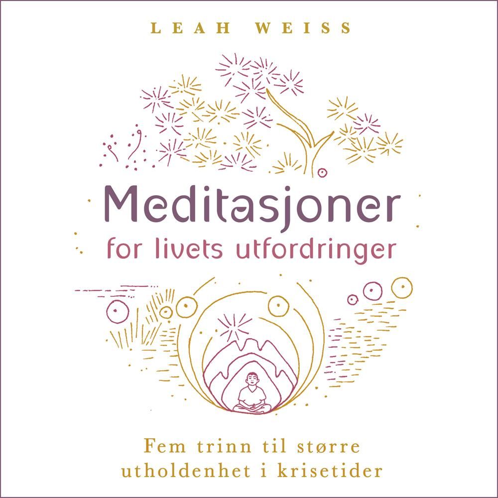 Meditasjoner for livets utfordringer - fem trinn til større utholdenhet i krisetider