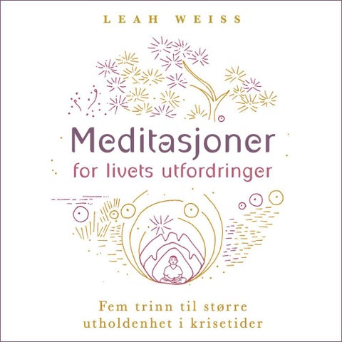 Meditasjoner for livets utfordringer - fem trinn til større utholdenhet i krisetider