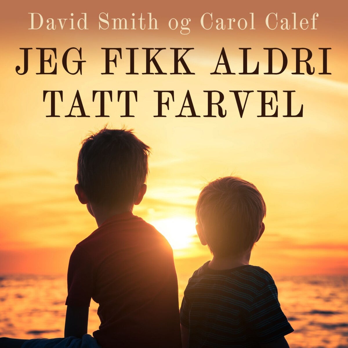 Jeg fikk aldri sagt farvel