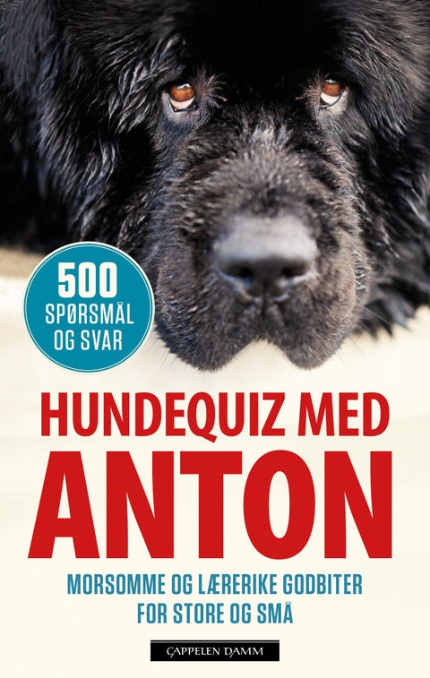 Hundequiz med Anton - 500 spørsmål og svar