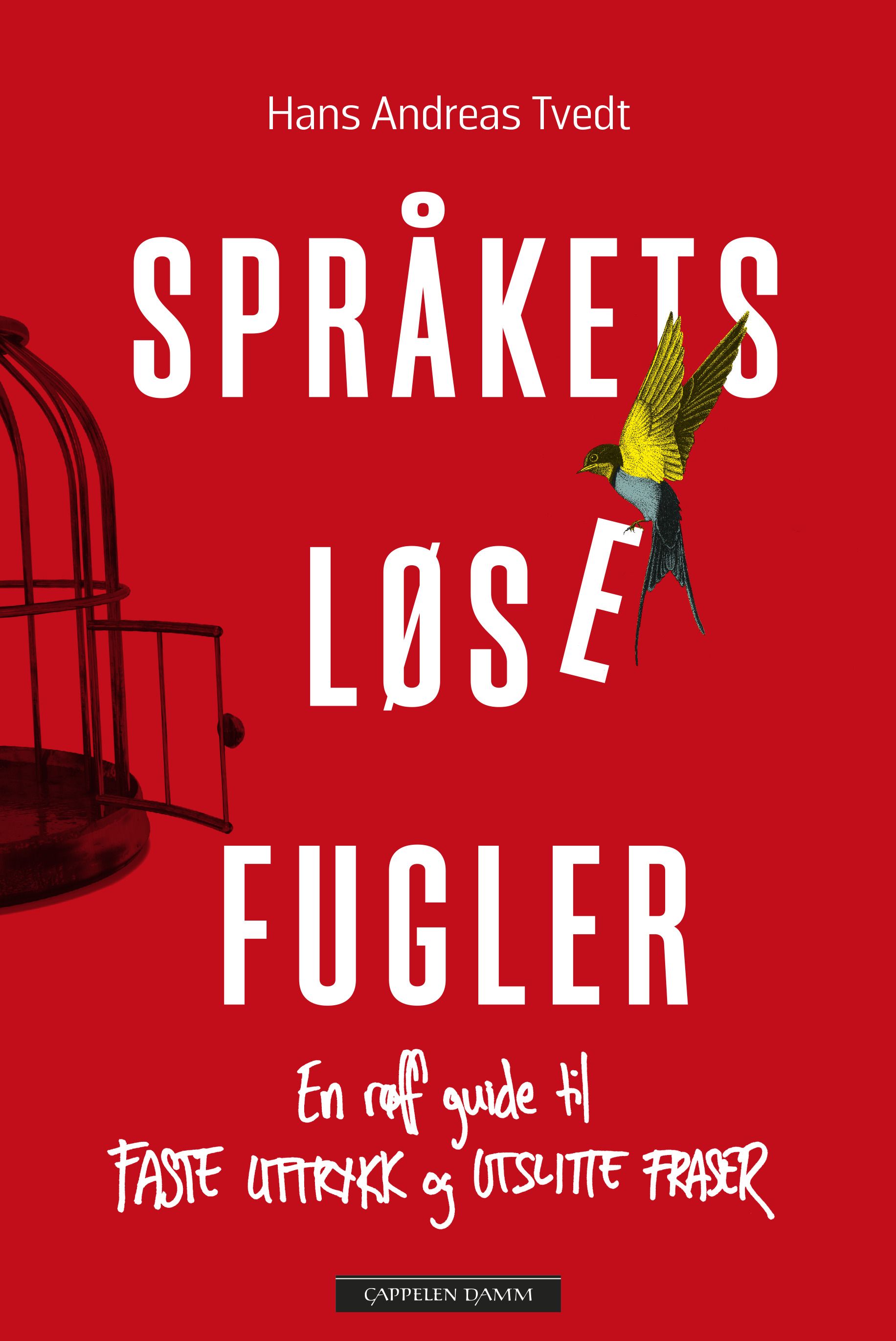 Språkets løse fugler - en røff guide til faste uttrykk og utslitte fraser