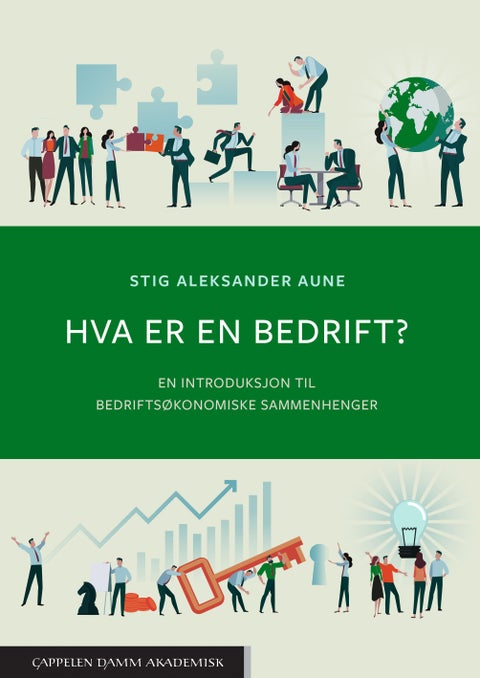 Hva er en bedrift? - en introduksjon til bedriftsøkonomiske sammenhenger