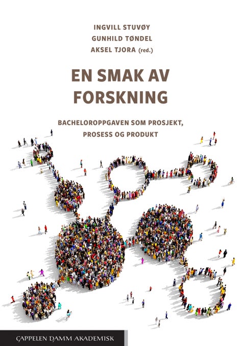 En smak av forskning - bacheloroppgaven som prosjekt, prosess og produkt