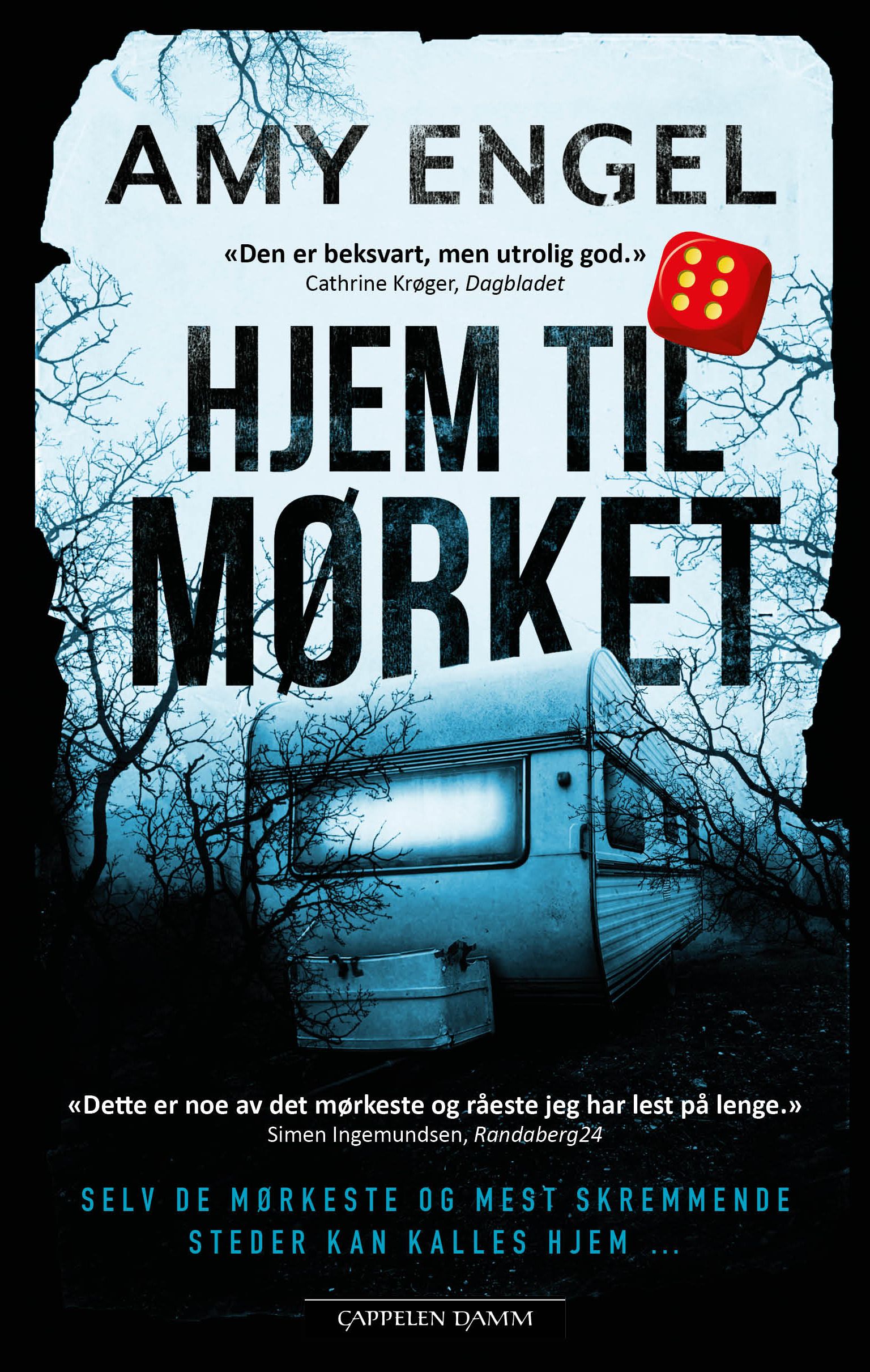 Hjem til mørket