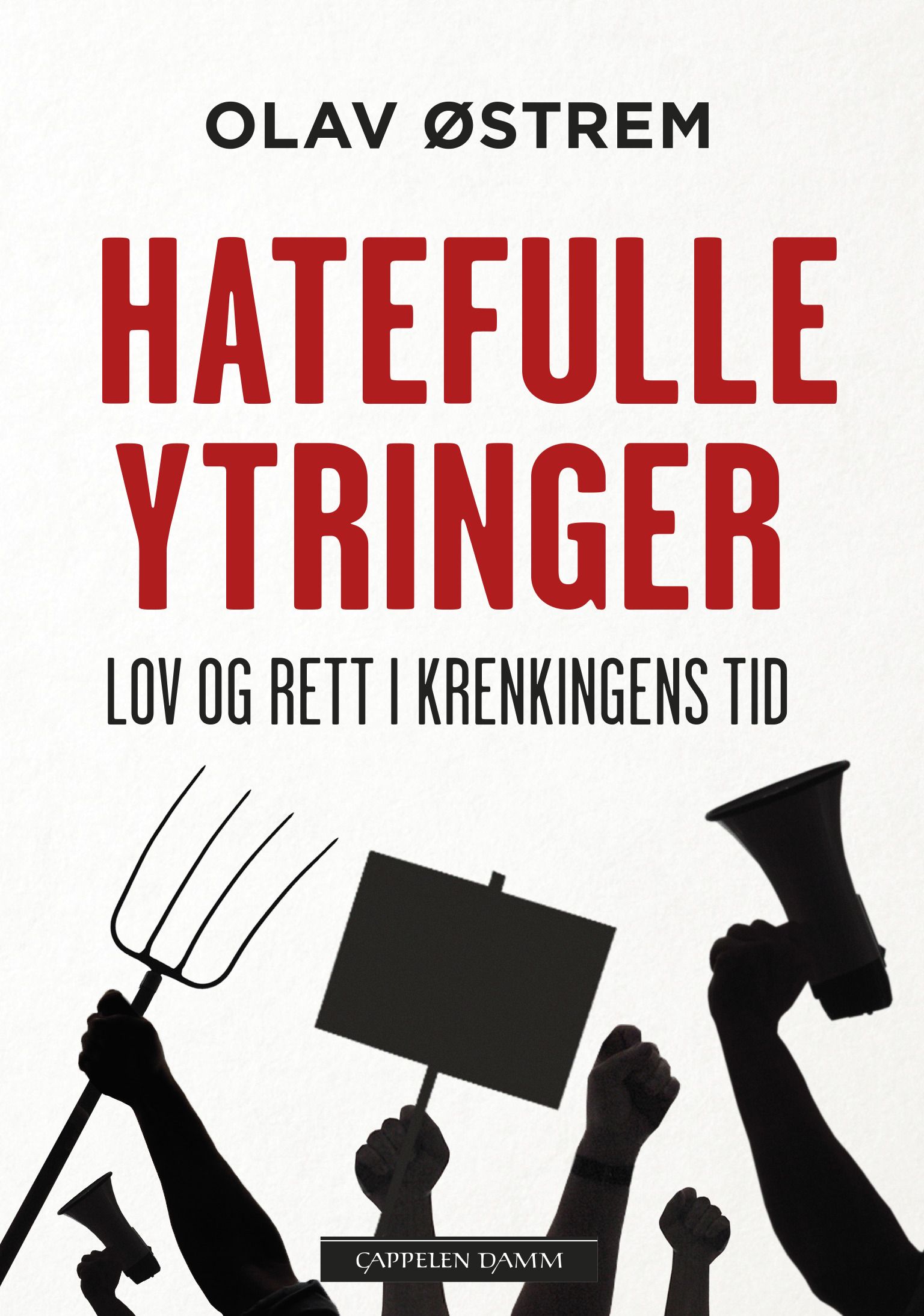 Hatefulle ytringer - lov og rett i krenkingens tid