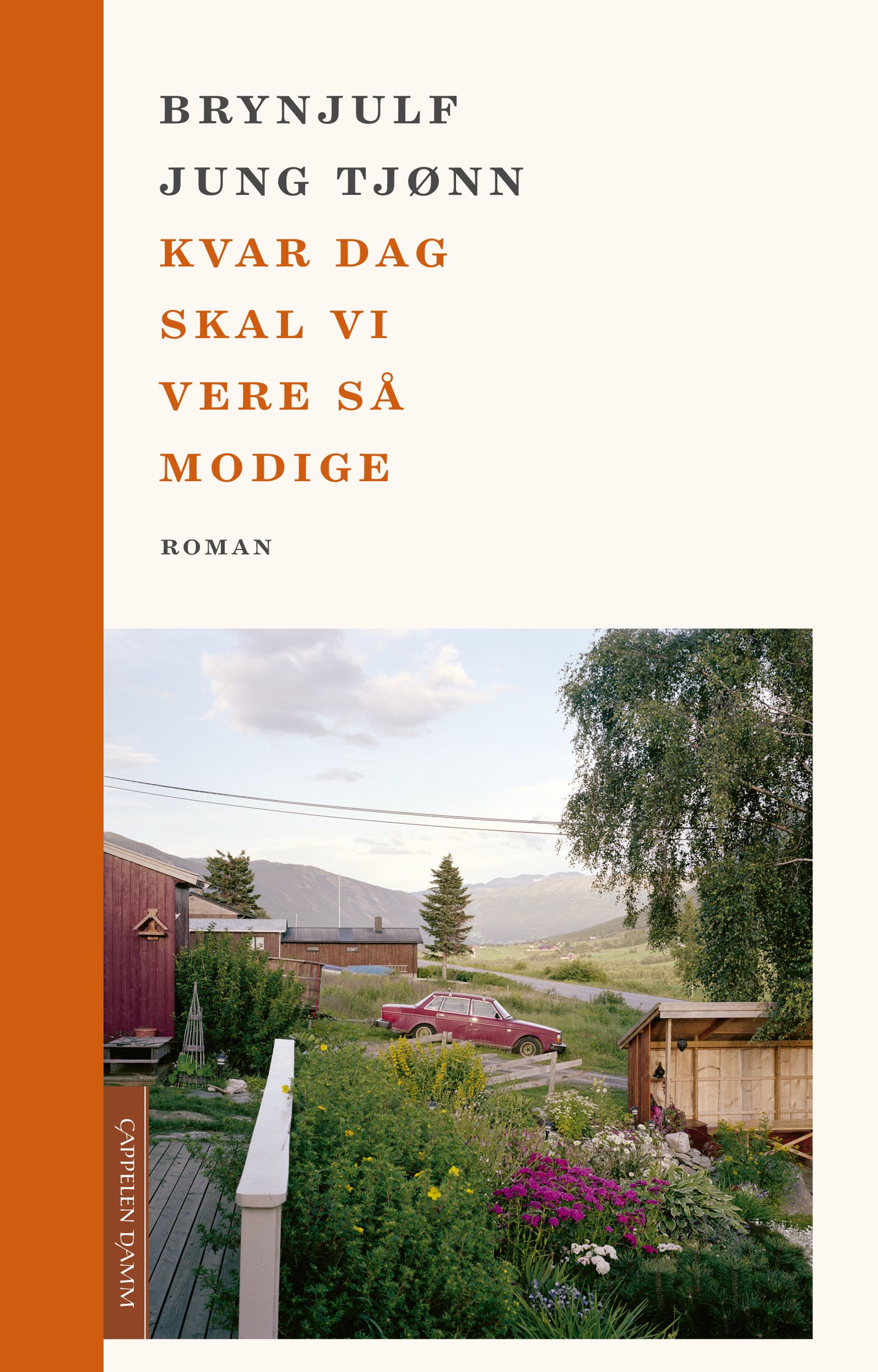 Kvar dag skal vi vere så modige - roman