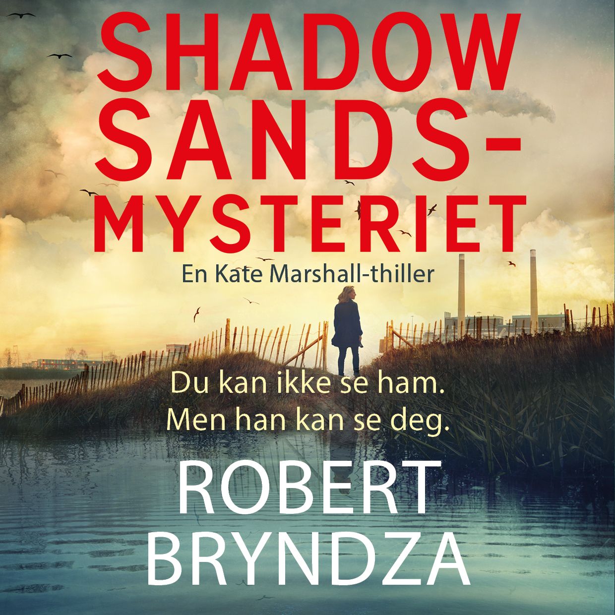 Shadow Sands-mysteriet - en Kate Marshall-thriller