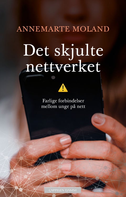 Det skjulte nettverket - farlige forbindelser mellom unge på nett
