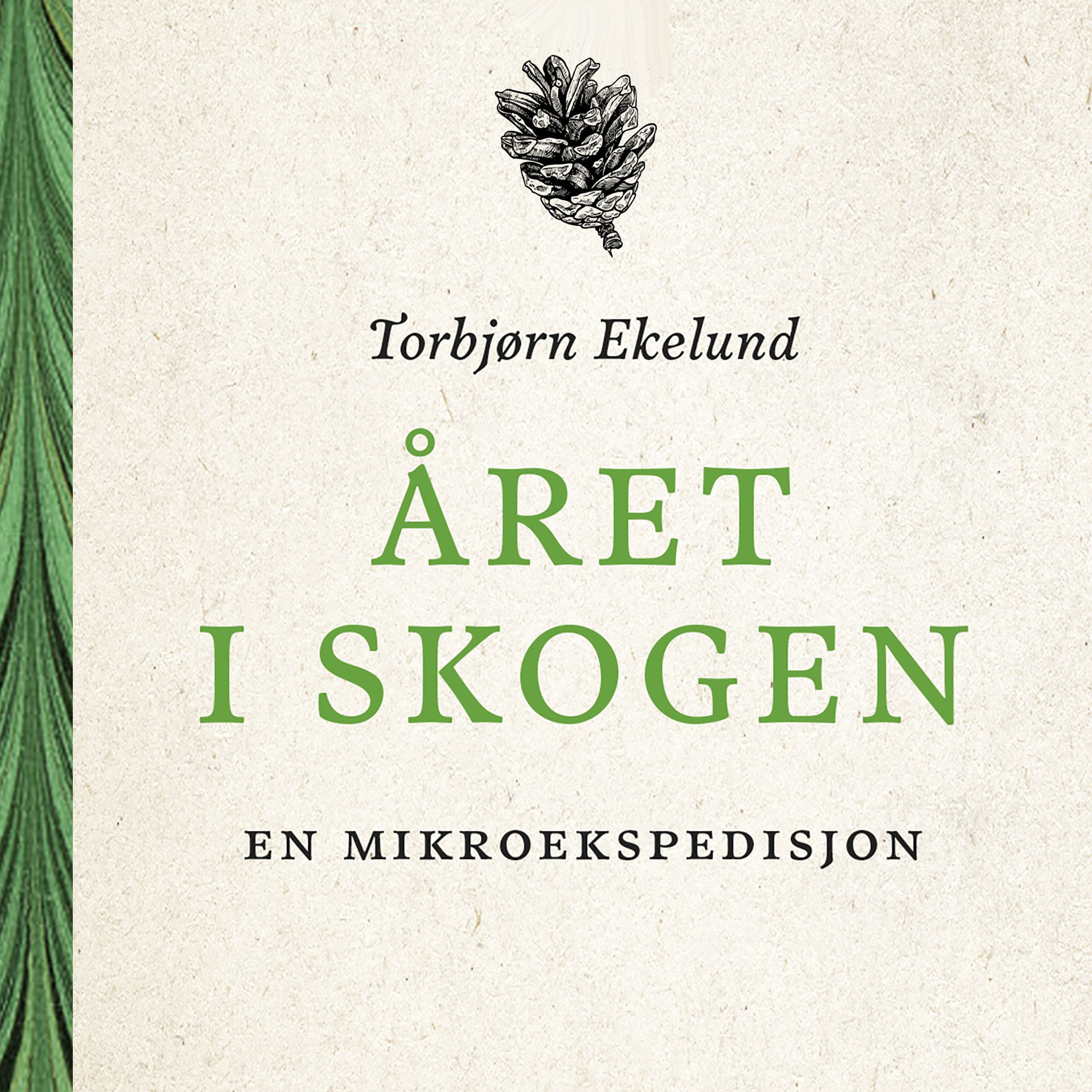 Året i skogen - en mikroekspedisjon