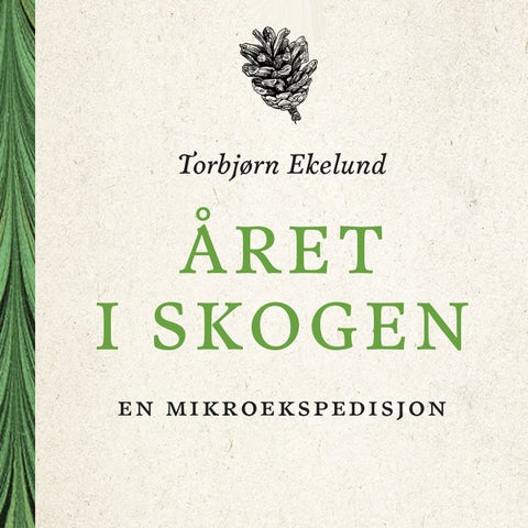 Året i skogen - en mikroekspedisjon
