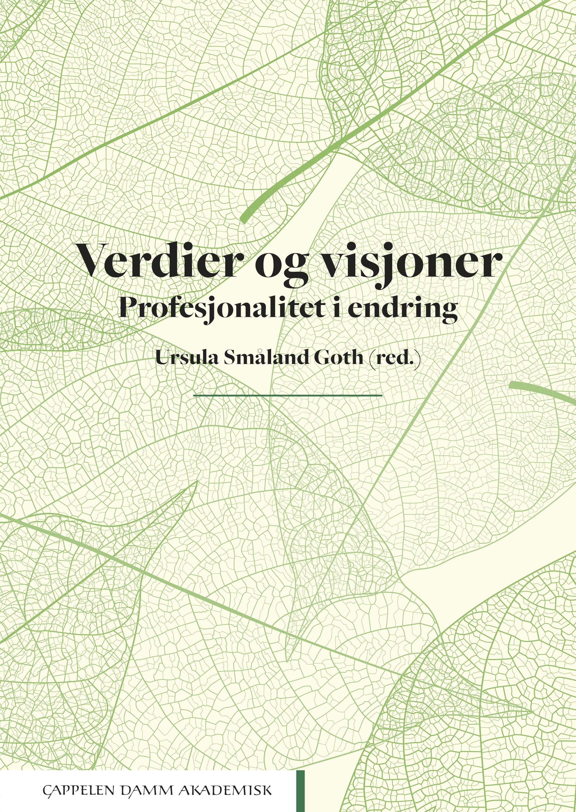 Verdier og visjoner - profesjonalitet i endring