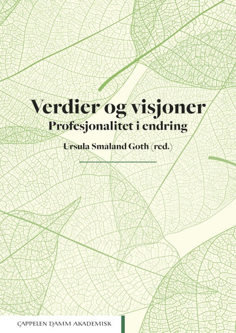Verdier og visjoner - profesjonalitet i endring