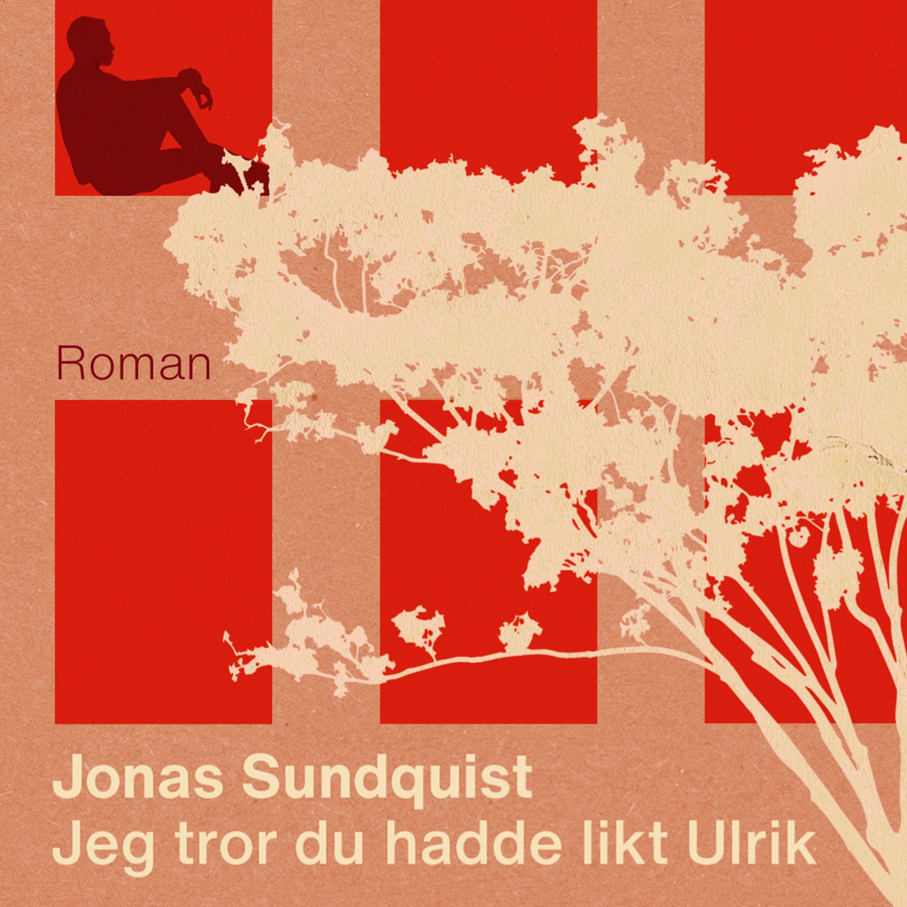 Jeg tror du hadde likt Ulrik - roman