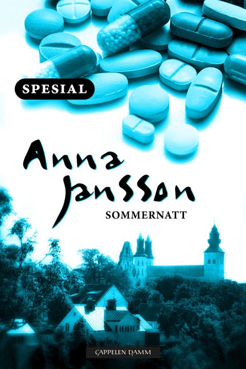 Sommernatten - Maria Wern sommernovelle