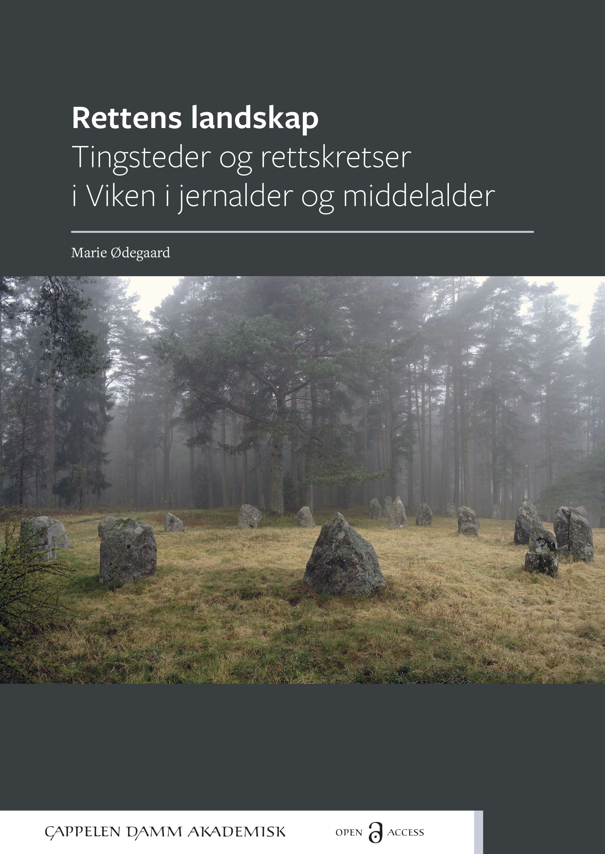 Rettens landskap - tingsteder og rettskretser i Viken i jernalder og middelalder