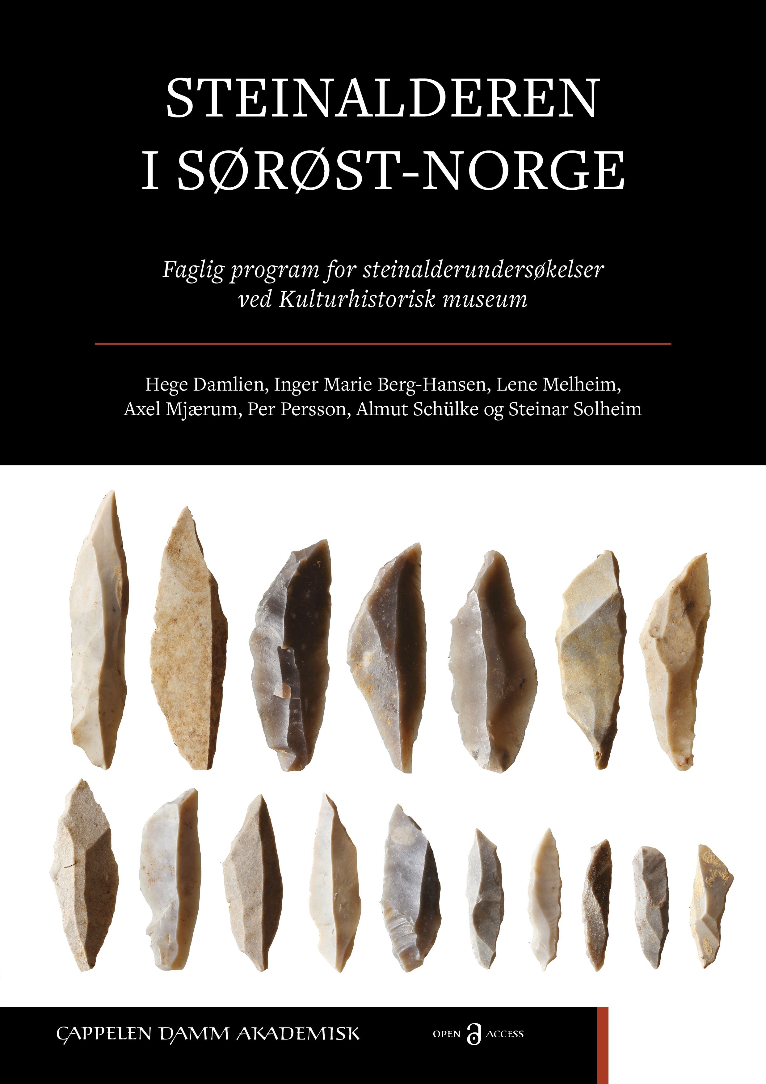 Steinalderen i Sørøst-Norge - faglig program for steinalderundersøkelser ved Kulturhistorisk museum