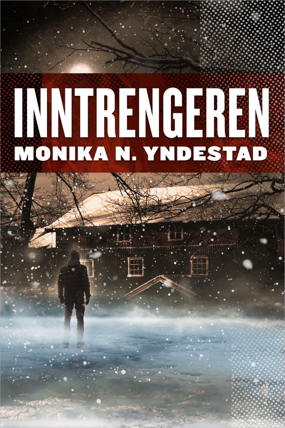 Inntrengeren - en kriminalroman basert på virkelige hendelser