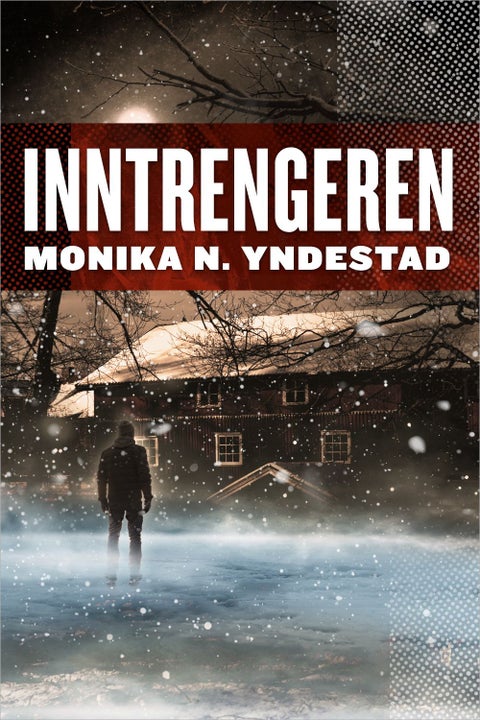 Inntrengeren - en kriminalroman basert på virkelige hendelser
