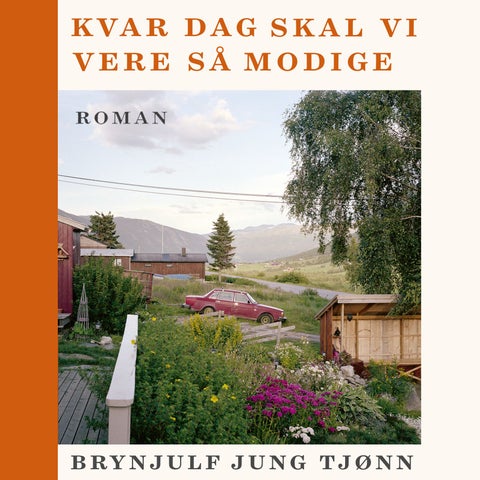 Kvar dag skal vi vere så modige - roman