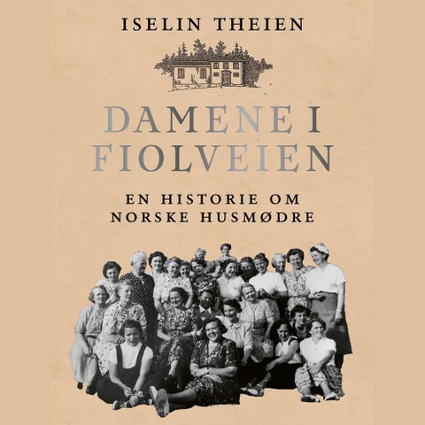Damene i Fiolveien - en historie om norske husmødre