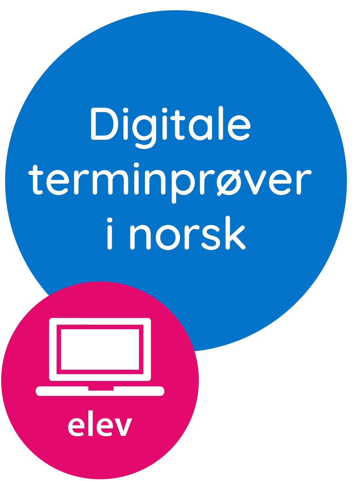 Digitale terminprøver i norsk
