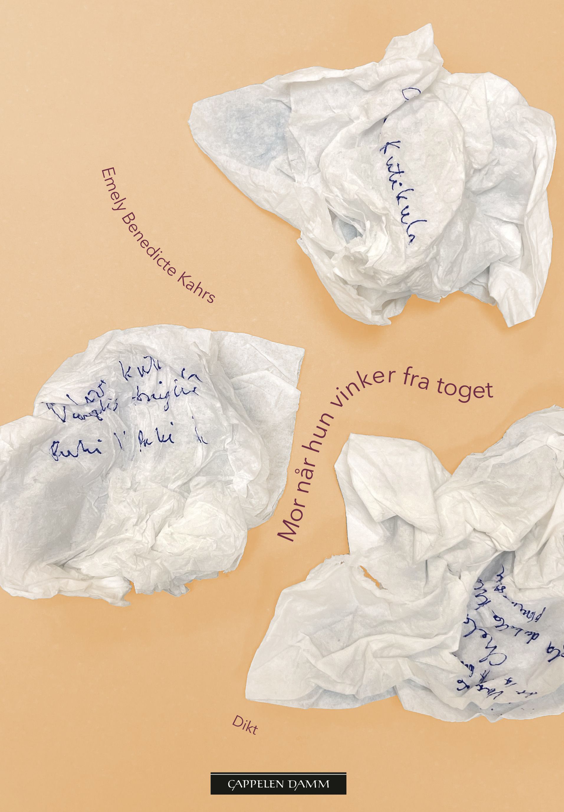 Mor når hun vinker fra toget - dikt