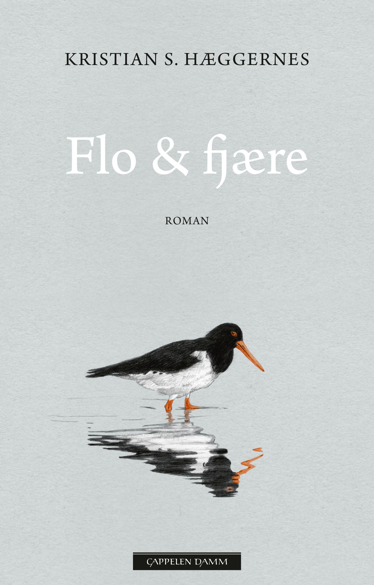 Flo & fjære - roman