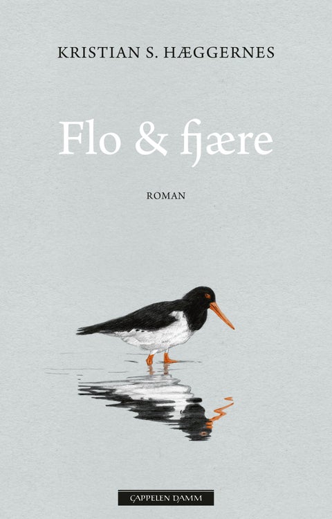 Flo & fjære - roman