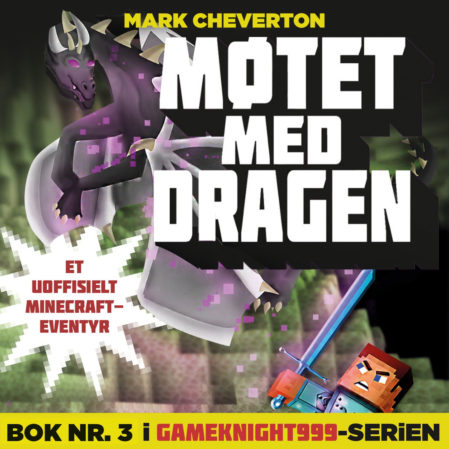Møtet med dragen - et uoffisielt Minecraft-eventyr