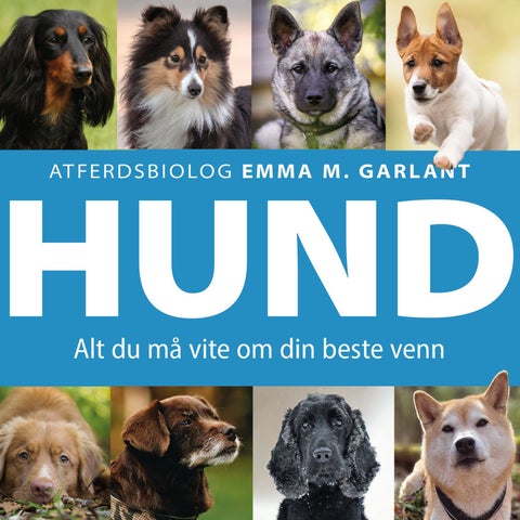 Hund - alt du må vite om din beste venn